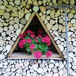 Hotel Park Oasi 3*