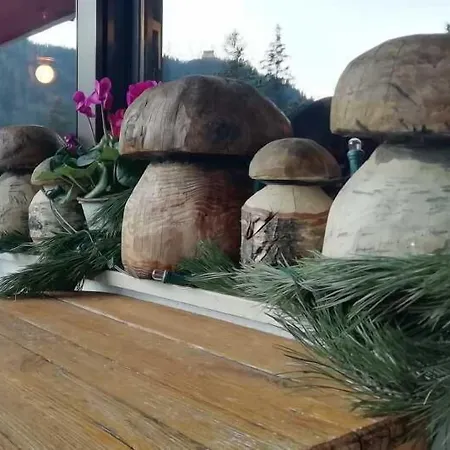 Szálloda Park Oasi 3*