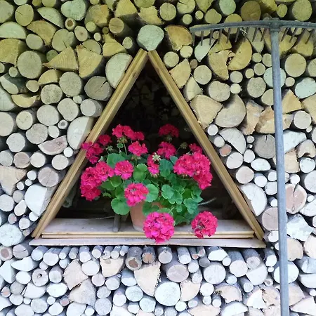 מלון Park Oasi 3*