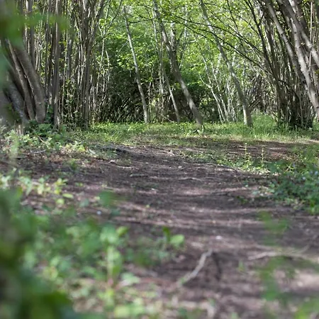 Park Oasi Szálloda Arta Terme