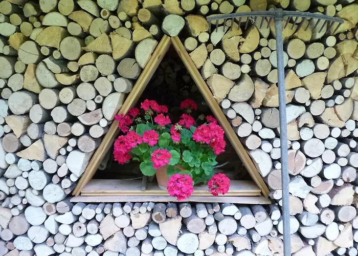 Ξενοδοχείο Park Oasi 3*