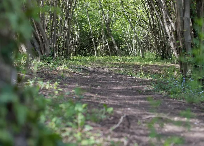 Park Oasi Ξενοδοχείο Arta Terme