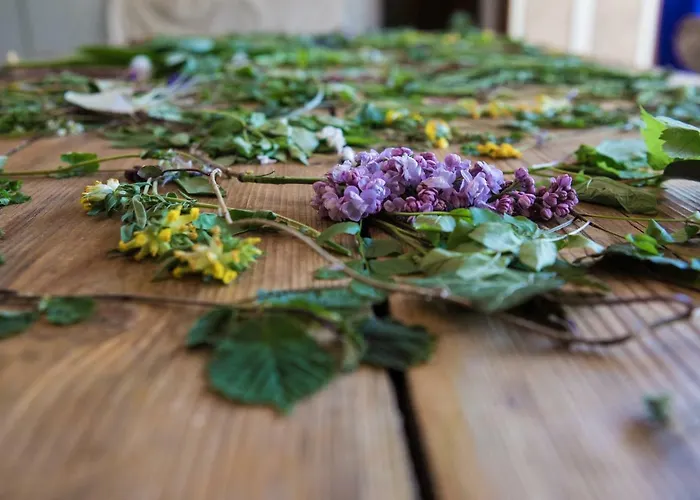 Ξενοδοχείο Park Oasi